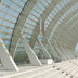 Stade de la licorne